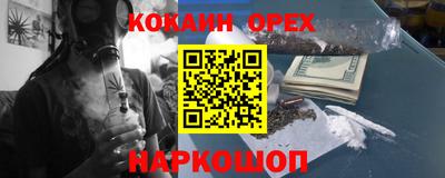 гидропоника Пенза