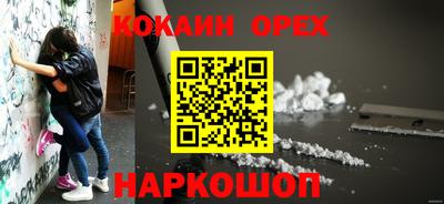 гидропоника Пенза