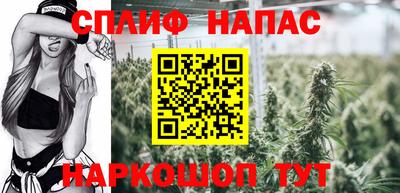 гидропоника Пенза