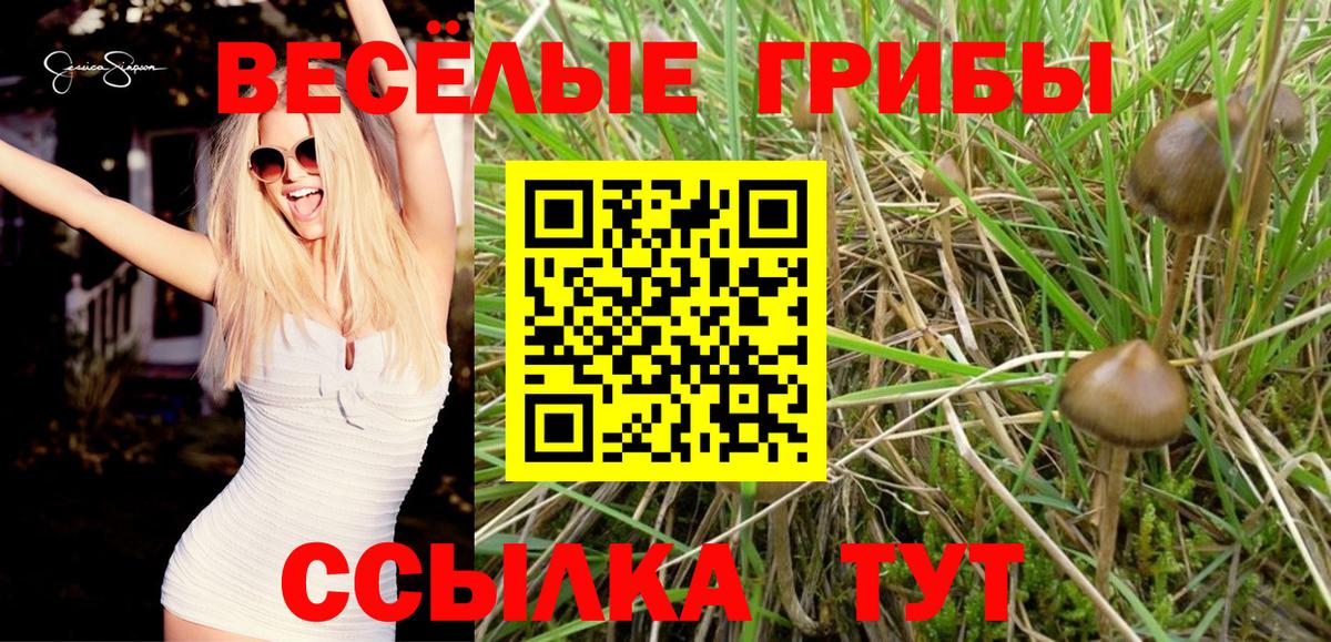 Псилоцибиновые грибы прущие грибы  Вход с VPN  Псилоцибиновые грибы MAGIC MUSHROOMS  Соль-Илецк 
