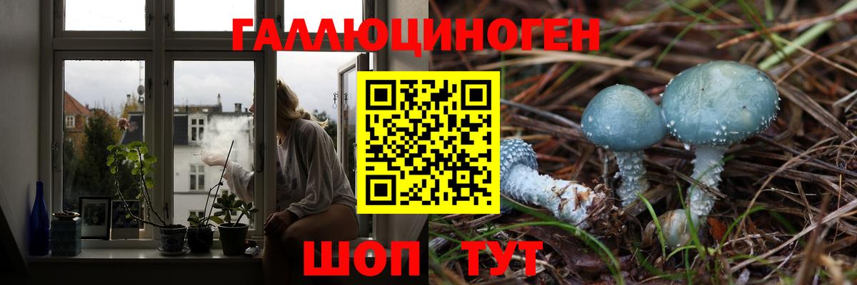 Псилоцибиновые грибы ЛСД Соль-Илецк